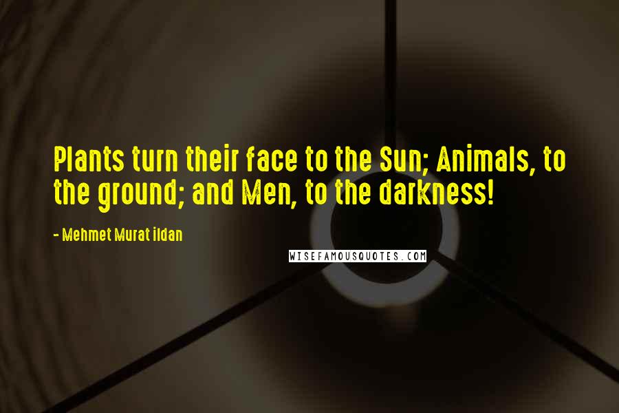 Mehmet Murat Ildan Quotes: Plants turn their face to the Sun; Animals, to the ground; and Men, to the darkness!