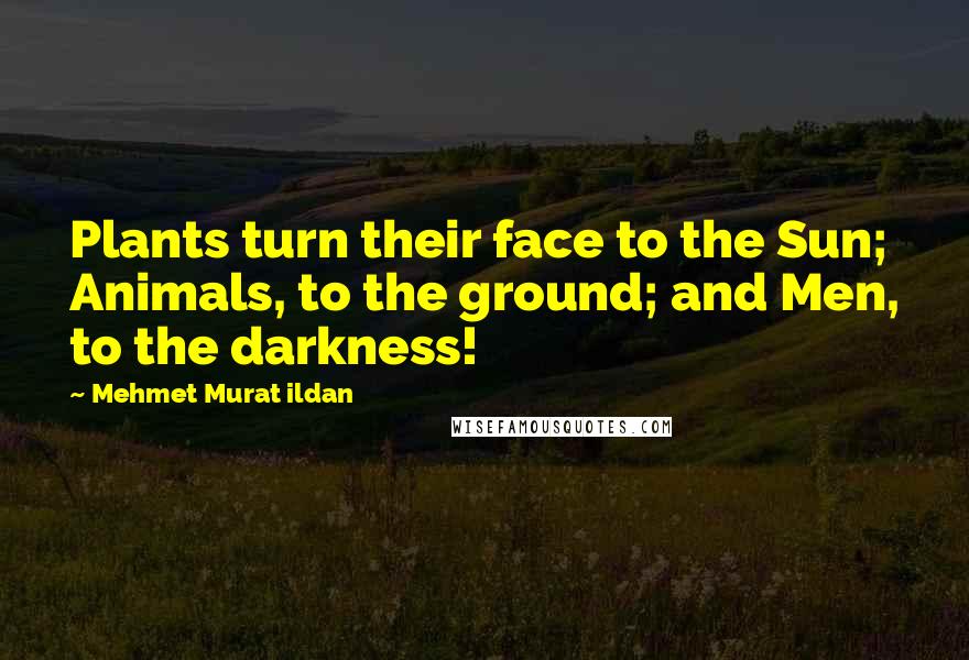 Mehmet Murat Ildan Quotes: Plants turn their face to the Sun; Animals, to the ground; and Men, to the darkness!
