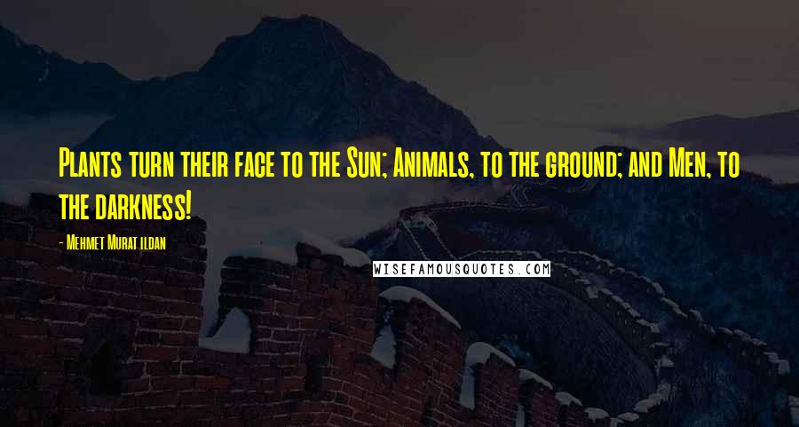 Mehmet Murat Ildan Quotes: Plants turn their face to the Sun; Animals, to the ground; and Men, to the darkness!
