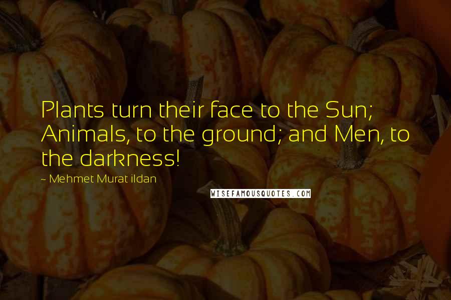 Mehmet Murat Ildan Quotes: Plants turn their face to the Sun; Animals, to the ground; and Men, to the darkness!