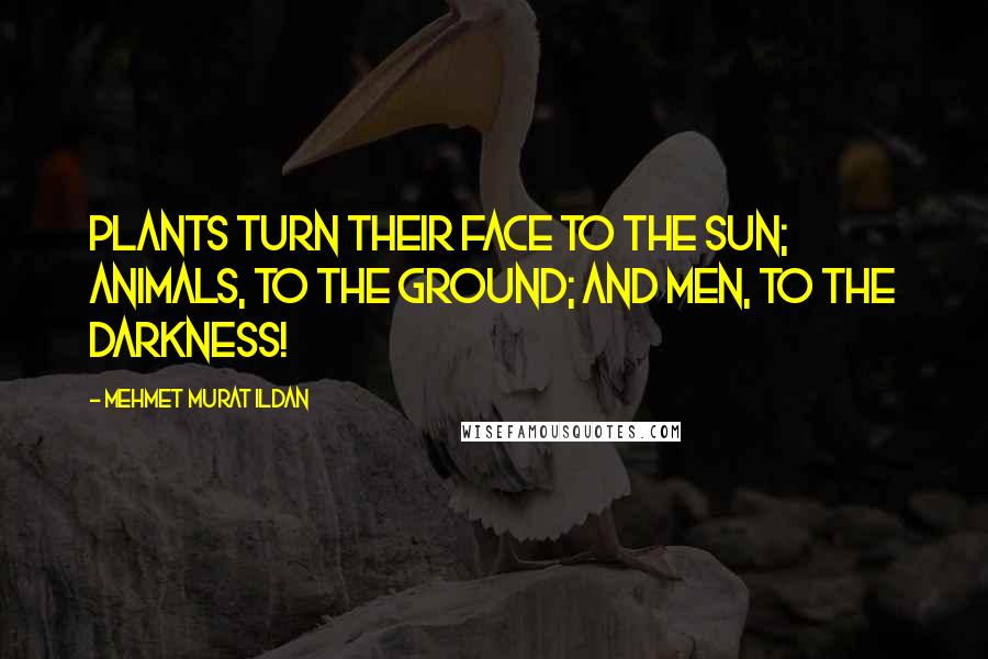 Mehmet Murat Ildan Quotes: Plants turn their face to the Sun; Animals, to the ground; and Men, to the darkness!