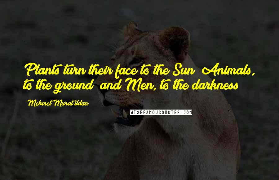 Mehmet Murat Ildan Quotes: Plants turn their face to the Sun; Animals, to the ground; and Men, to the darkness!