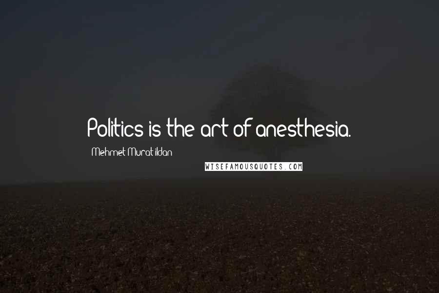 Mehmet Murat Ildan Quotes: Politics is the art of anesthesia.