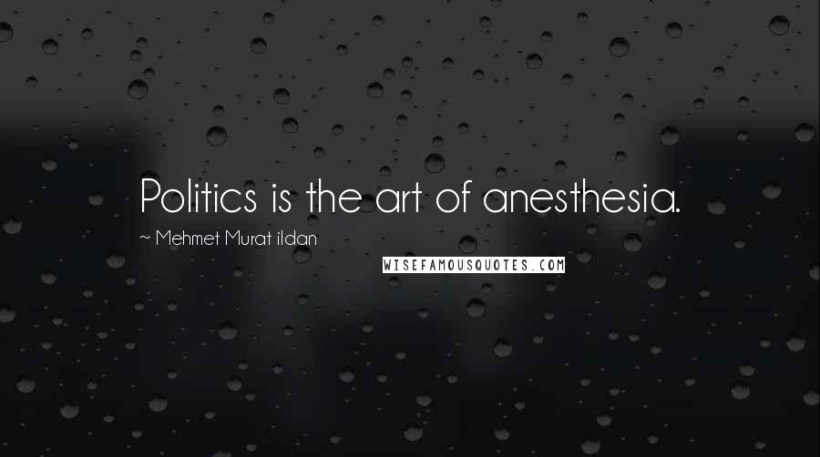 Mehmet Murat Ildan Quotes: Politics is the art of anesthesia.