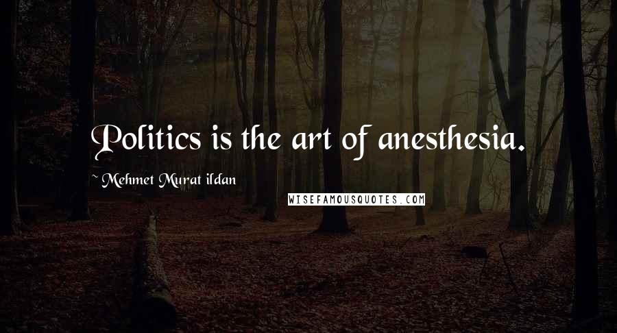 Mehmet Murat Ildan Quotes: Politics is the art of anesthesia.