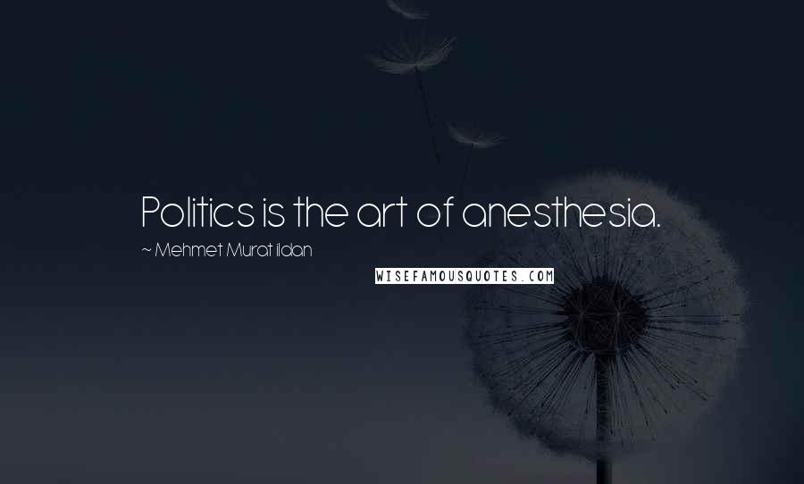 Mehmet Murat Ildan Quotes: Politics is the art of anesthesia.