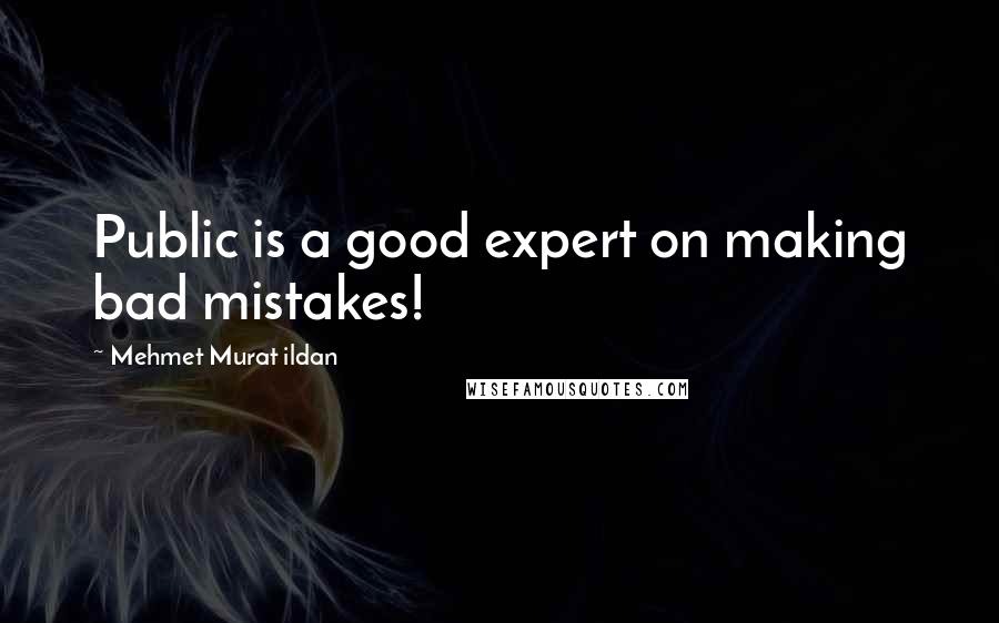 Mehmet Murat Ildan Quotes: Public is a good expert on making bad mistakes!