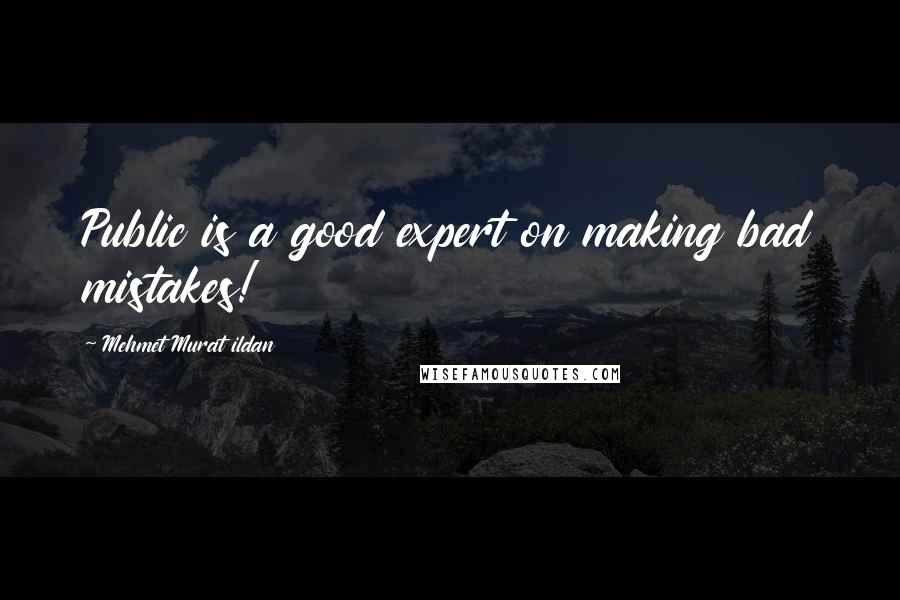 Mehmet Murat Ildan Quotes: Public is a good expert on making bad mistakes!