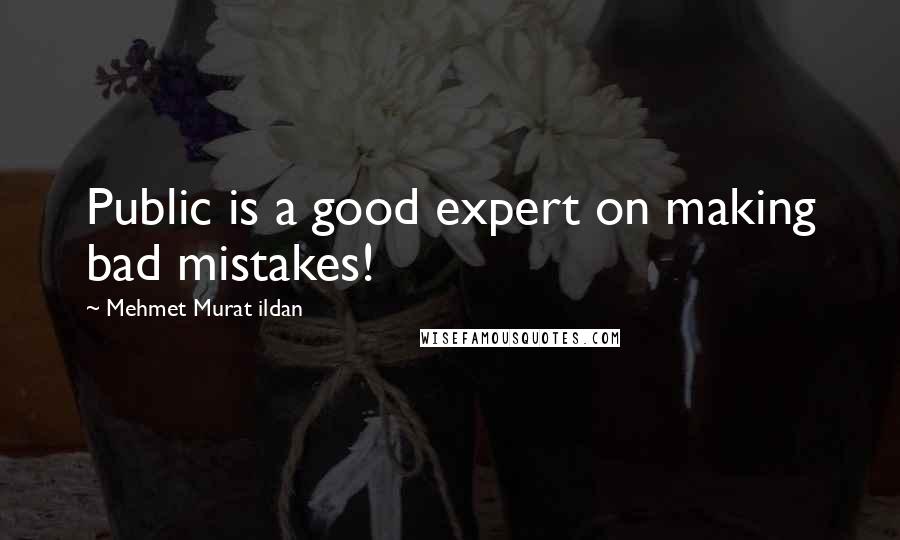 Mehmet Murat Ildan Quotes: Public is a good expert on making bad mistakes!