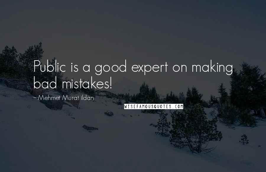 Mehmet Murat Ildan Quotes: Public is a good expert on making bad mistakes!