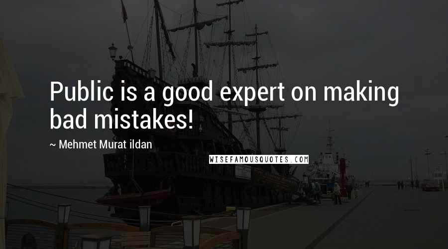 Mehmet Murat Ildan Quotes: Public is a good expert on making bad mistakes!