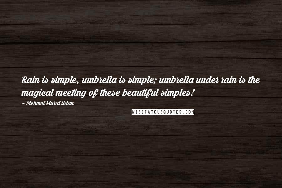 Mehmet Murat Ildan Quotes: Rain is simple, umbrella is simple; umbrella under rain is the magical meeting of these beautiful simples!