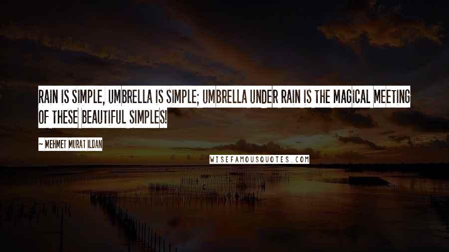Mehmet Murat Ildan Quotes: Rain is simple, umbrella is simple; umbrella under rain is the magical meeting of these beautiful simples!