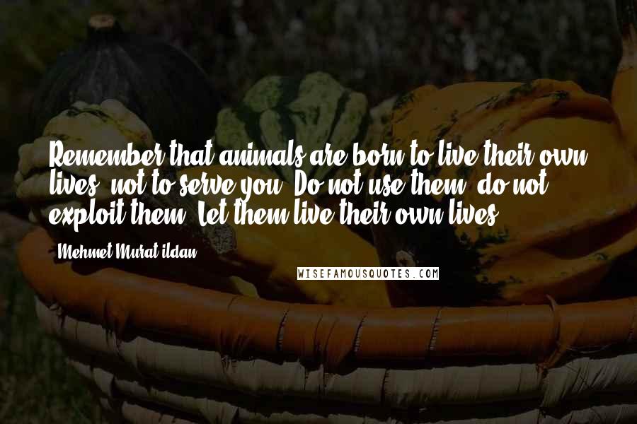 Mehmet Murat Ildan Quotes: Remember that animals are born to live their own lives, not to serve you! Do not use them; do not exploit them. Let them live their own lives.