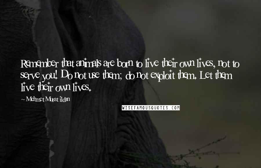 Mehmet Murat Ildan Quotes: Remember that animals are born to live their own lives, not to serve you! Do not use them; do not exploit them. Let them live their own lives.