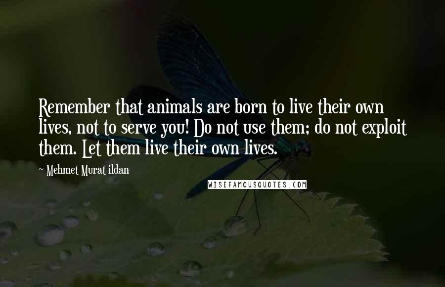 Mehmet Murat Ildan Quotes: Remember that animals are born to live their own lives, not to serve you! Do not use them; do not exploit them. Let them live their own lives.