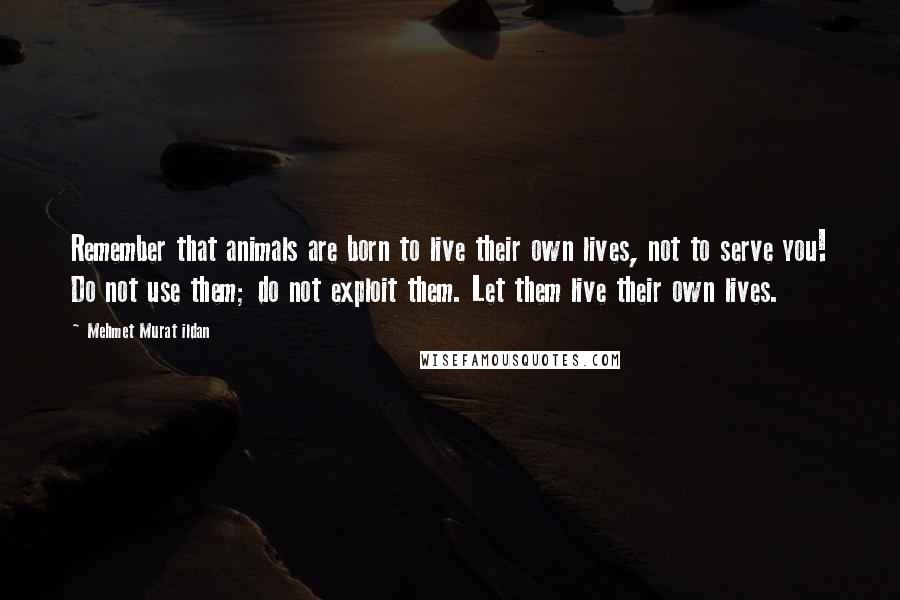 Mehmet Murat Ildan Quotes: Remember that animals are born to live their own lives, not to serve you! Do not use them; do not exploit them. Let them live their own lives.