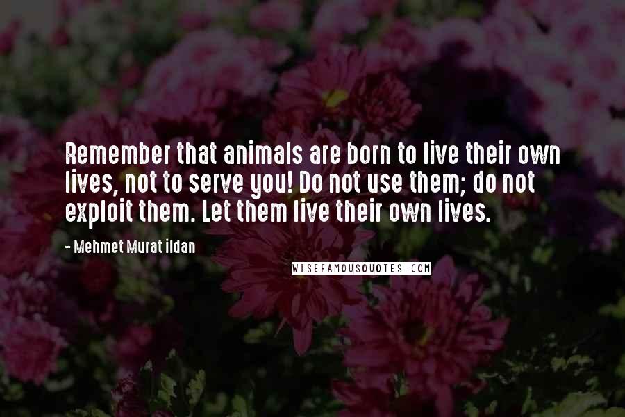 Mehmet Murat Ildan Quotes: Remember that animals are born to live their own lives, not to serve you! Do not use them; do not exploit them. Let them live their own lives.