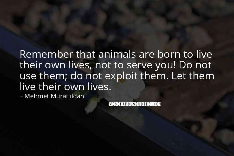 Mehmet Murat Ildan Quotes: Remember that animals are born to live their own lives, not to serve you! Do not use them; do not exploit them. Let them live their own lives.