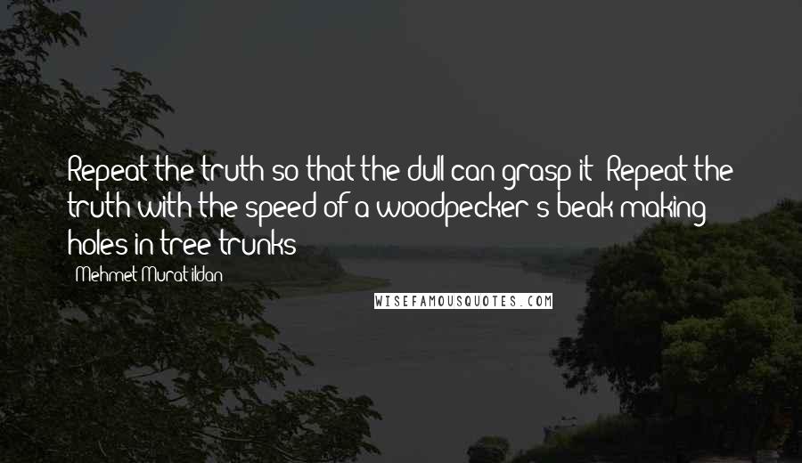 Mehmet Murat Ildan Quotes: Repeat the truth so that the dull can grasp it! Repeat the truth with the speed of a woodpecker's beak making holes in tree trunks!