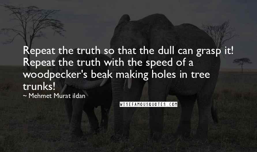 Mehmet Murat Ildan Quotes: Repeat the truth so that the dull can grasp it! Repeat the truth with the speed of a woodpecker's beak making holes in tree trunks!