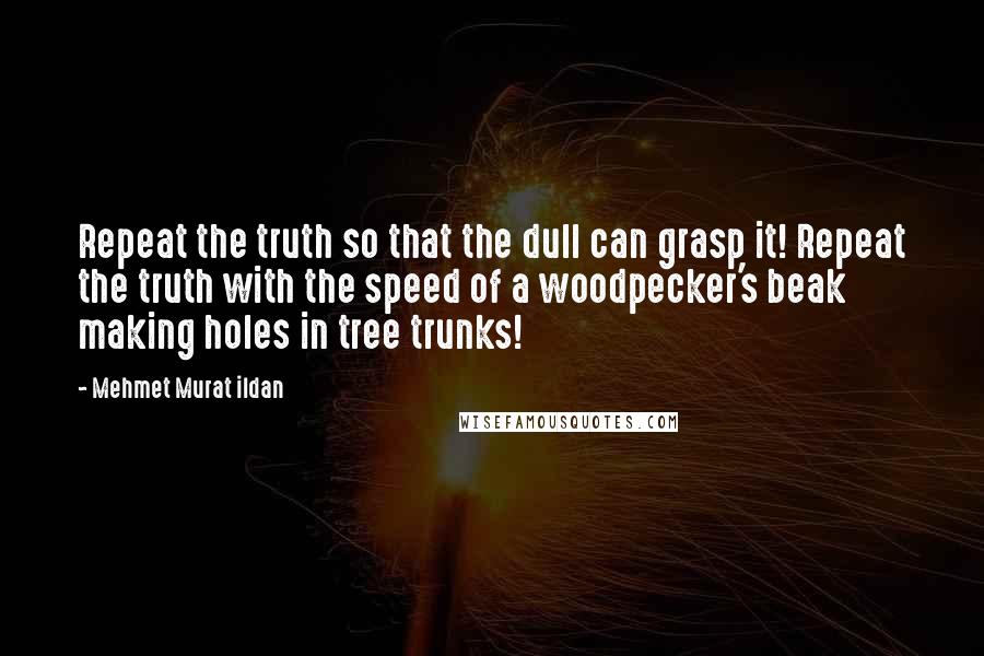 Mehmet Murat Ildan Quotes: Repeat the truth so that the dull can grasp it! Repeat the truth with the speed of a woodpecker's beak making holes in tree trunks!