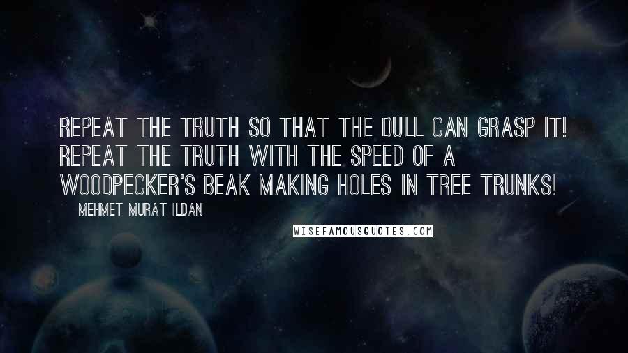 Mehmet Murat Ildan Quotes: Repeat the truth so that the dull can grasp it! Repeat the truth with the speed of a woodpecker's beak making holes in tree trunks!