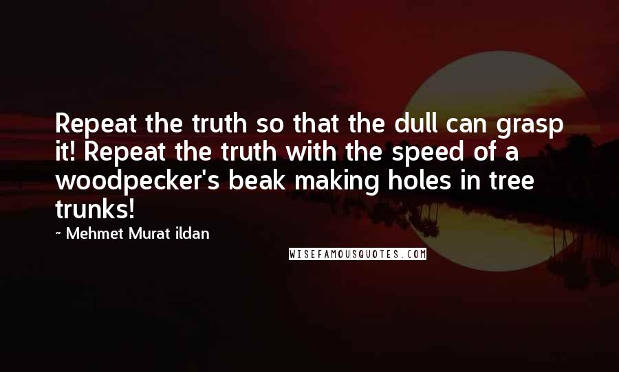 Mehmet Murat Ildan Quotes: Repeat the truth so that the dull can grasp it! Repeat the truth with the speed of a woodpecker's beak making holes in tree trunks!