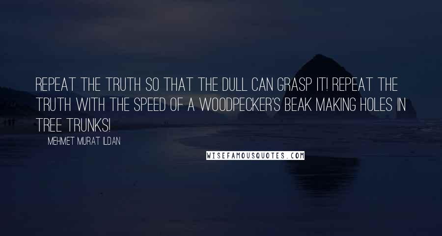 Mehmet Murat Ildan Quotes: Repeat the truth so that the dull can grasp it! Repeat the truth with the speed of a woodpecker's beak making holes in tree trunks!