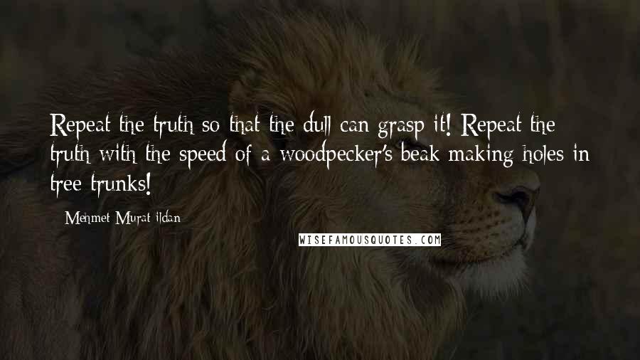 Mehmet Murat Ildan Quotes: Repeat the truth so that the dull can grasp it! Repeat the truth with the speed of a woodpecker's beak making holes in tree trunks!