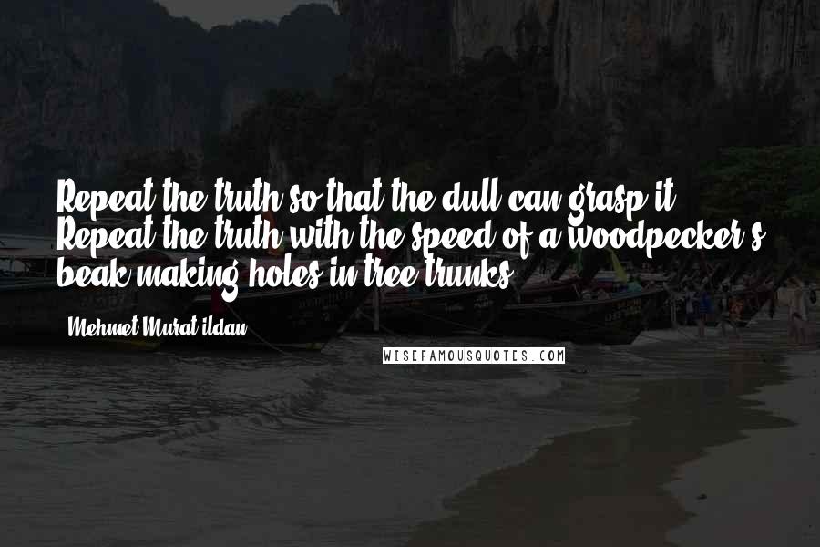 Mehmet Murat Ildan Quotes: Repeat the truth so that the dull can grasp it! Repeat the truth with the speed of a woodpecker's beak making holes in tree trunks!