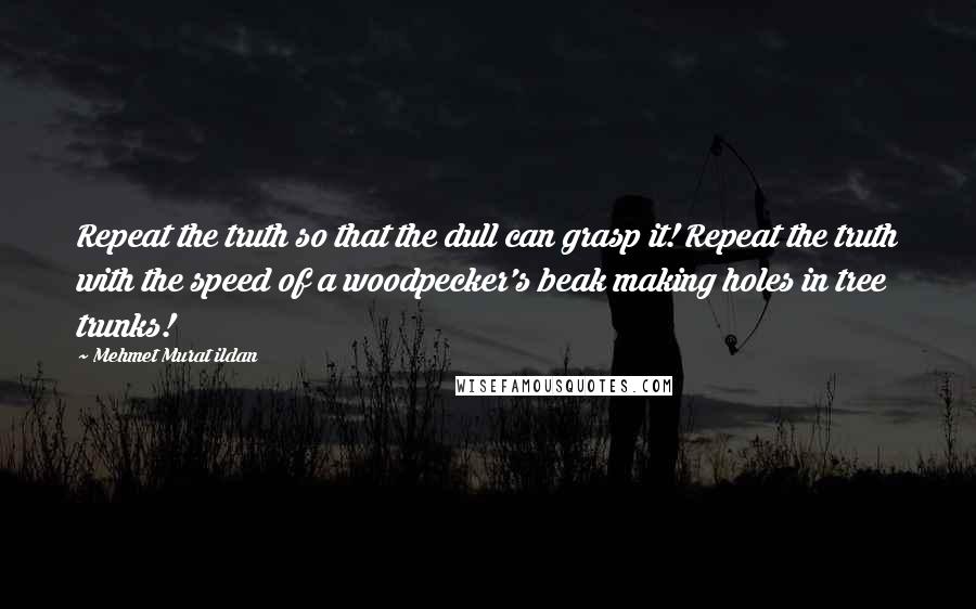 Mehmet Murat Ildan Quotes: Repeat the truth so that the dull can grasp it! Repeat the truth with the speed of a woodpecker's beak making holes in tree trunks!