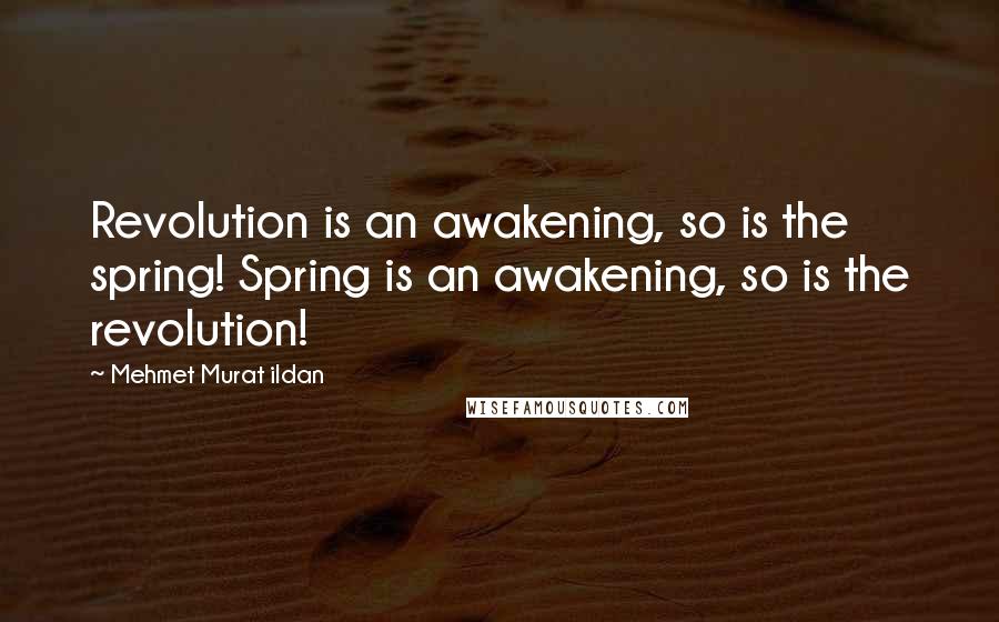 Mehmet Murat Ildan Quotes: Revolution is an awakening, so is the spring! Spring is an awakening, so is the revolution!