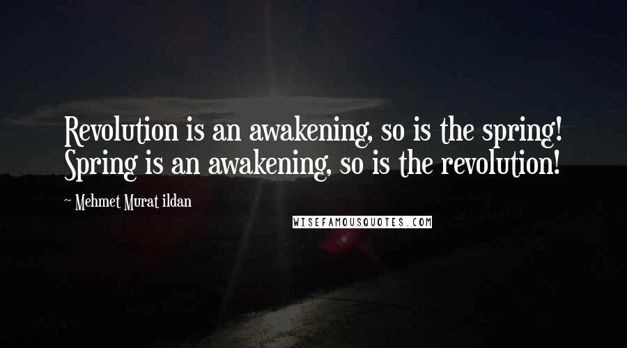 Mehmet Murat Ildan Quotes: Revolution is an awakening, so is the spring! Spring is an awakening, so is the revolution!