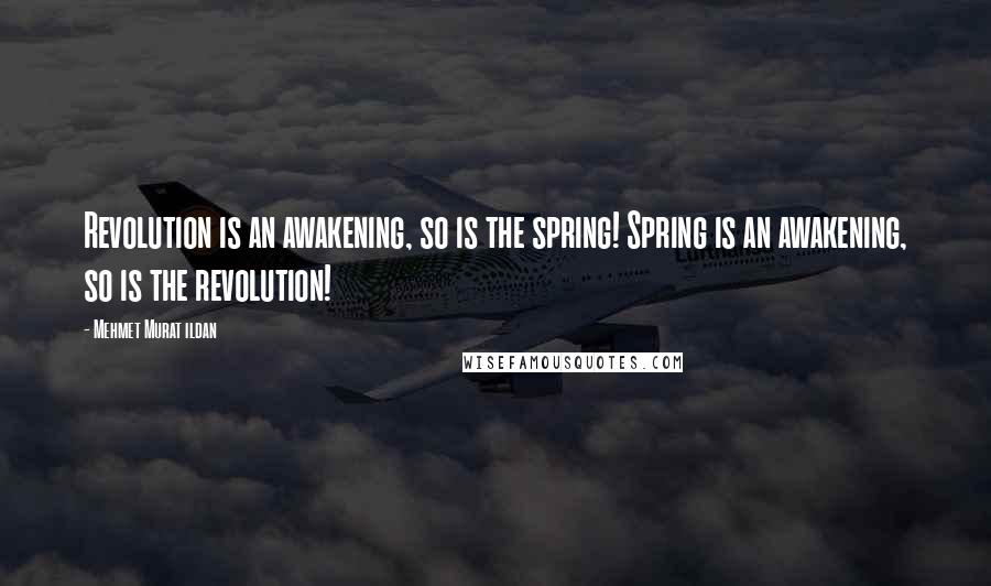 Mehmet Murat Ildan Quotes: Revolution is an awakening, so is the spring! Spring is an awakening, so is the revolution!