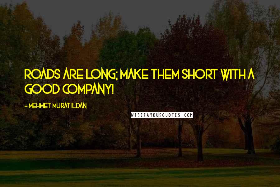 Mehmet Murat Ildan Quotes: Roads are long; make them short with a good company!