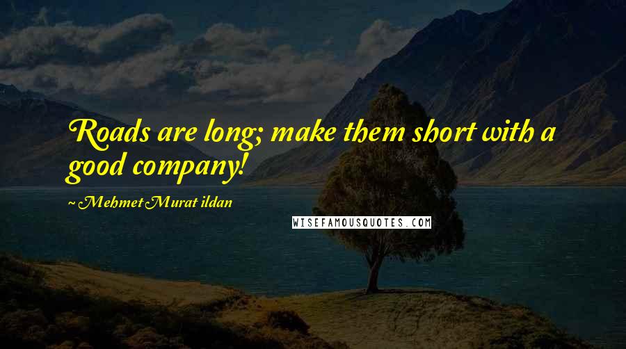 Mehmet Murat Ildan Quotes: Roads are long; make them short with a good company!