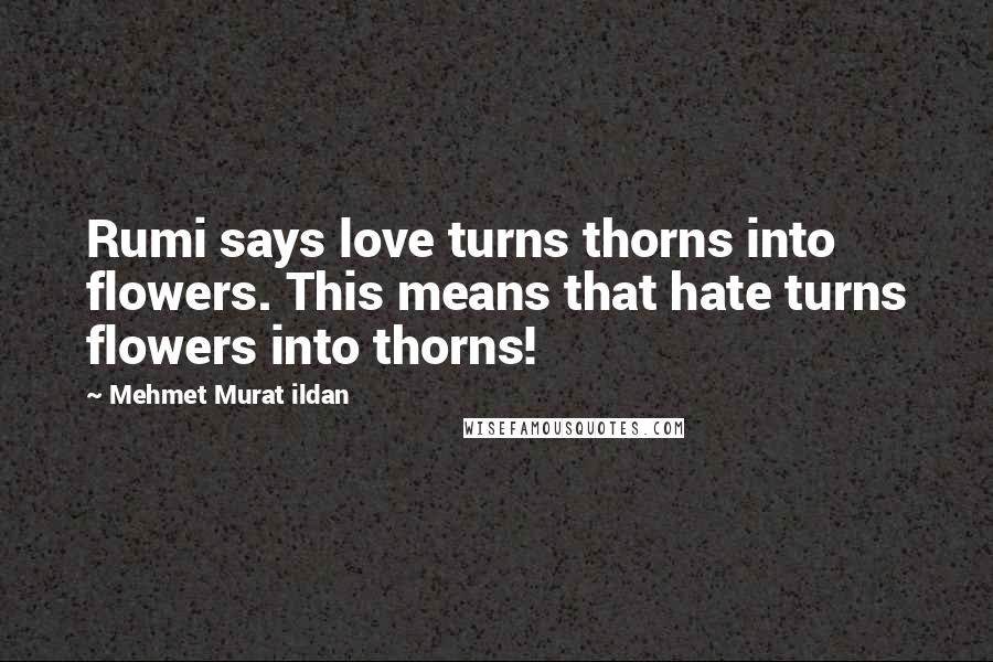 Mehmet Murat Ildan Quotes: Rumi says love turns thorns into flowers. This means that hate turns flowers into thorns!