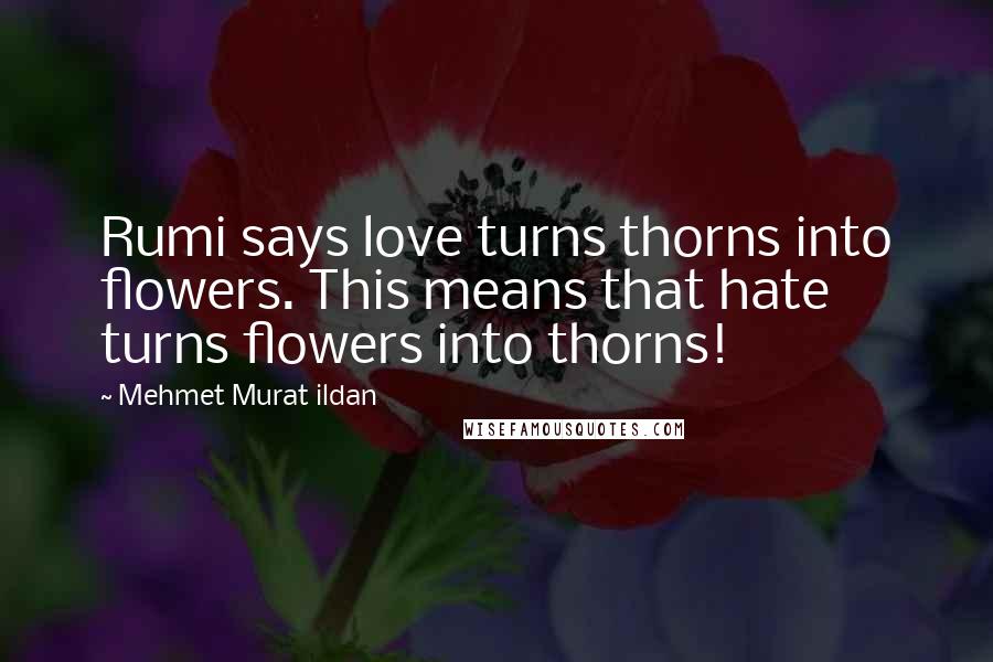 Mehmet Murat Ildan Quotes: Rumi says love turns thorns into flowers. This means that hate turns flowers into thorns!