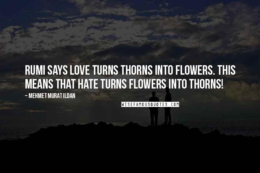 Mehmet Murat Ildan Quotes: Rumi says love turns thorns into flowers. This means that hate turns flowers into thorns!