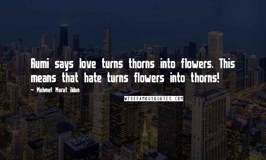 Mehmet Murat Ildan Quotes: Rumi says love turns thorns into flowers. This means that hate turns flowers into thorns!