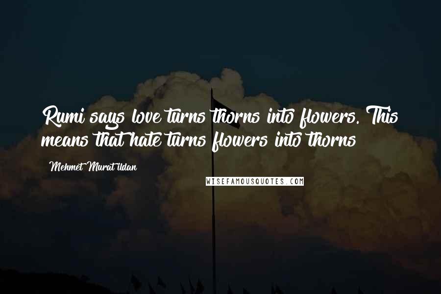 Mehmet Murat Ildan Quotes: Rumi says love turns thorns into flowers. This means that hate turns flowers into thorns!