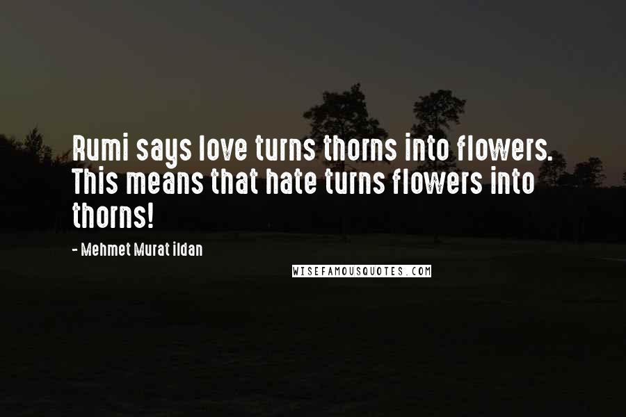 Mehmet Murat Ildan Quotes: Rumi says love turns thorns into flowers. This means that hate turns flowers into thorns!