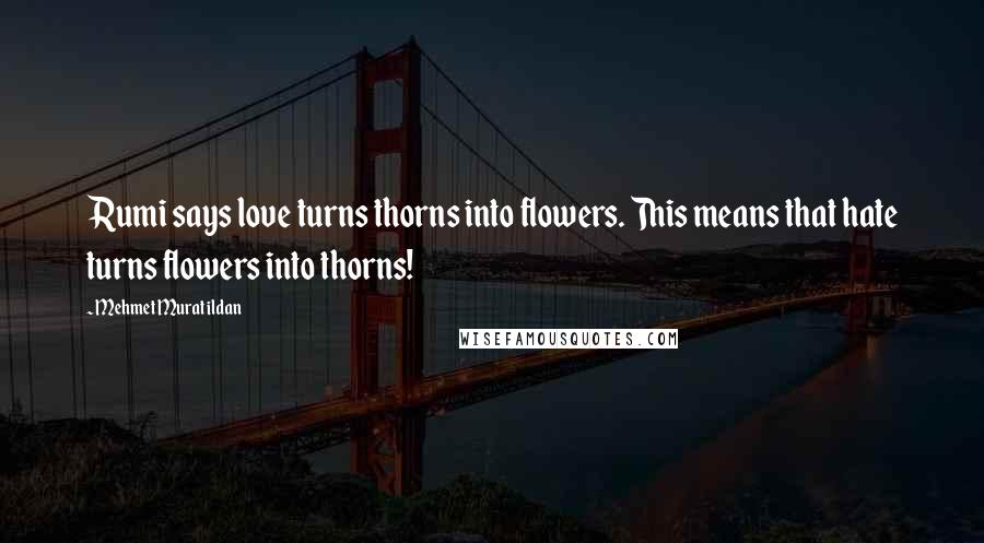 Mehmet Murat Ildan Quotes: Rumi says love turns thorns into flowers. This means that hate turns flowers into thorns!