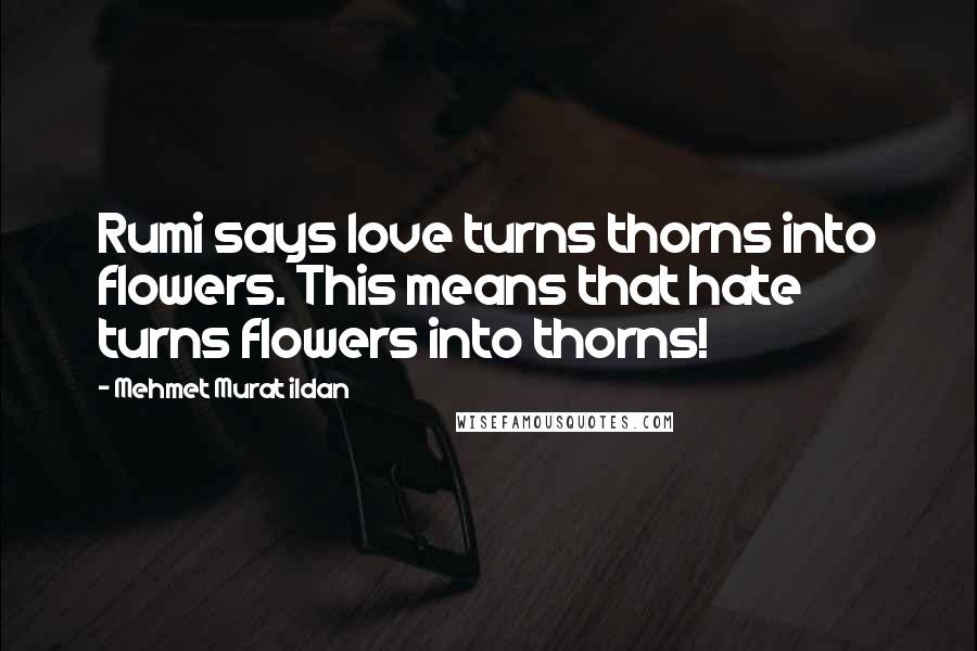 Mehmet Murat Ildan Quotes: Rumi says love turns thorns into flowers. This means that hate turns flowers into thorns!