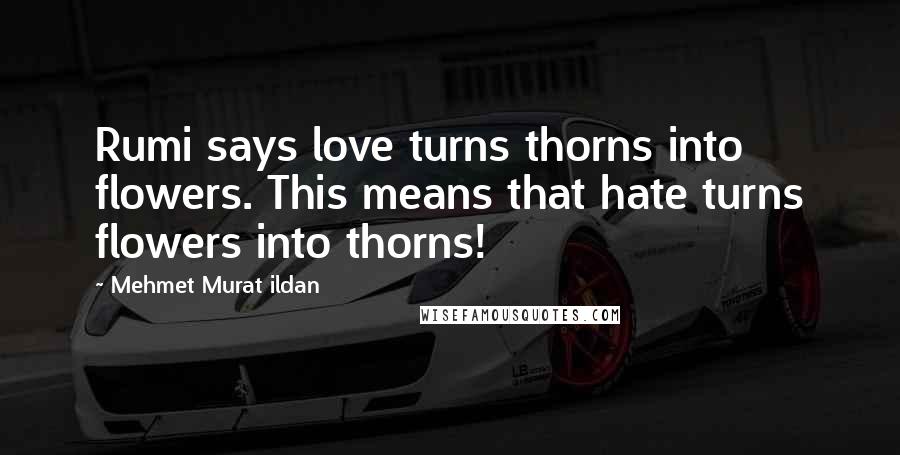 Mehmet Murat Ildan Quotes: Rumi says love turns thorns into flowers. This means that hate turns flowers into thorns!