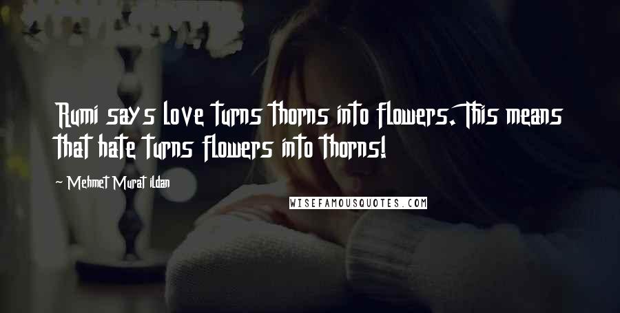 Mehmet Murat Ildan Quotes: Rumi says love turns thorns into flowers. This means that hate turns flowers into thorns!