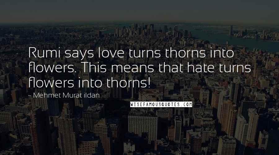 Mehmet Murat Ildan Quotes: Rumi says love turns thorns into flowers. This means that hate turns flowers into thorns!