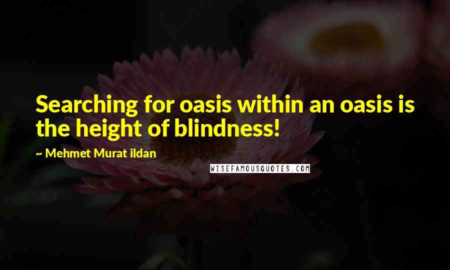 Mehmet Murat Ildan Quotes: Searching for oasis within an oasis is the height of blindness!