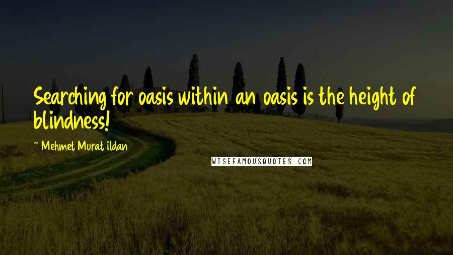 Mehmet Murat Ildan Quotes: Searching for oasis within an oasis is the height of blindness!